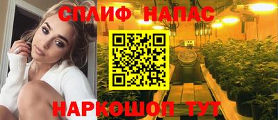 эйфоретик Малгобек