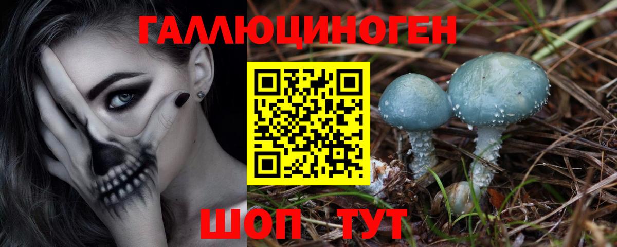 Галлюциногенные грибы прущие грибы Щёлково